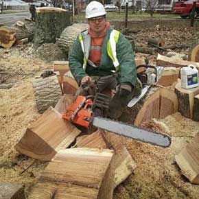 Tree Trimming/Pruning