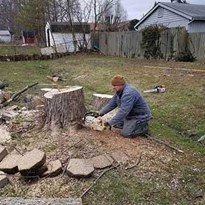 Tree Cutting/Removal